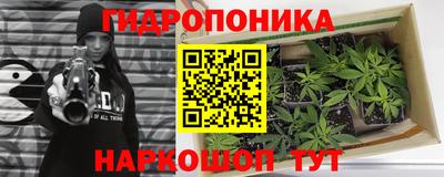 прущая мука Шахты
