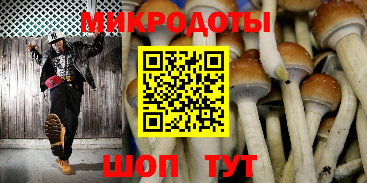 Галлюциногенные грибы Psilocybine cubensis  Вход с VPN  Ишим 